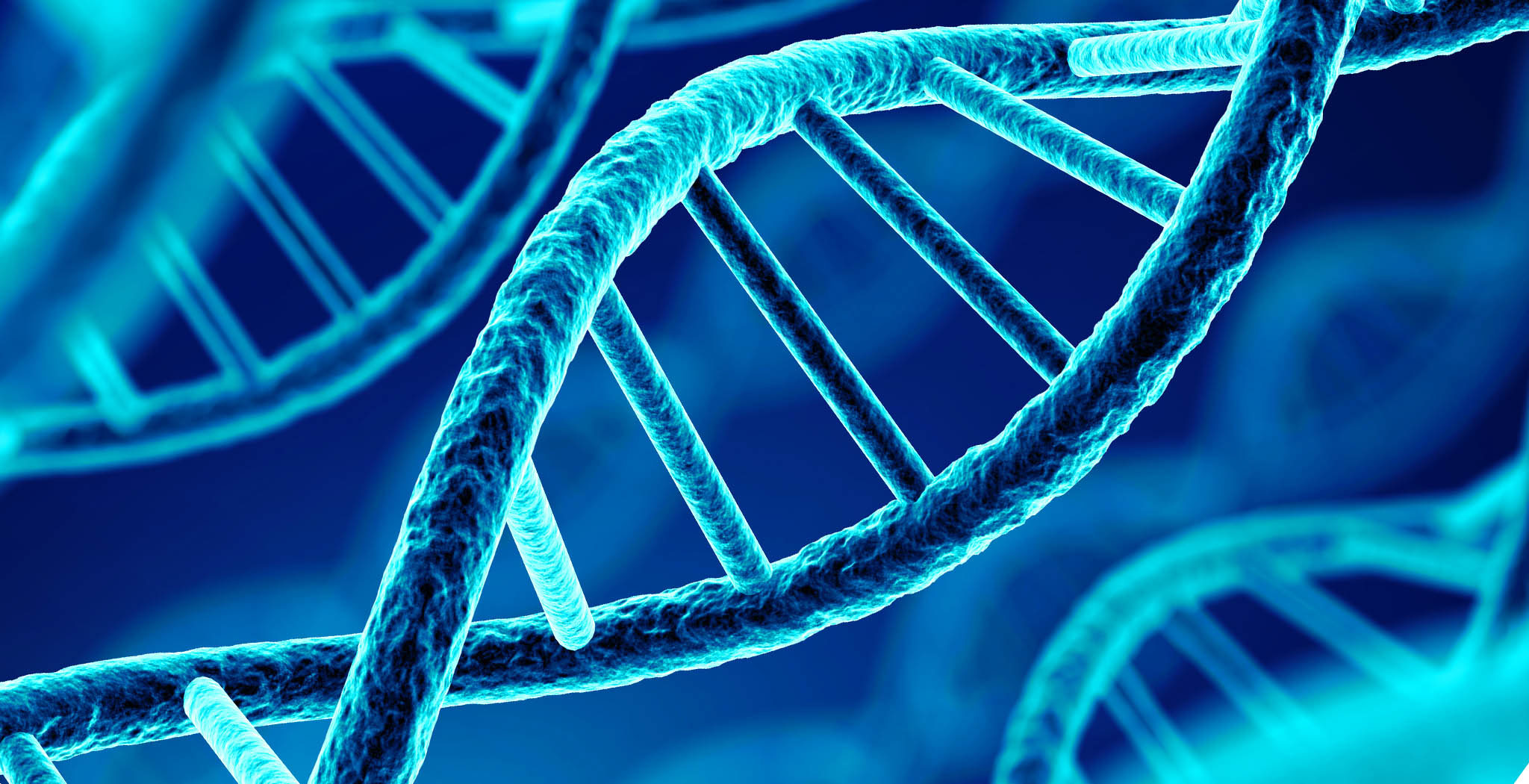 Opmerkelijk: DNA van invloed op gedrag en welbevinden tijdens coronacrisis, meldt UMCG