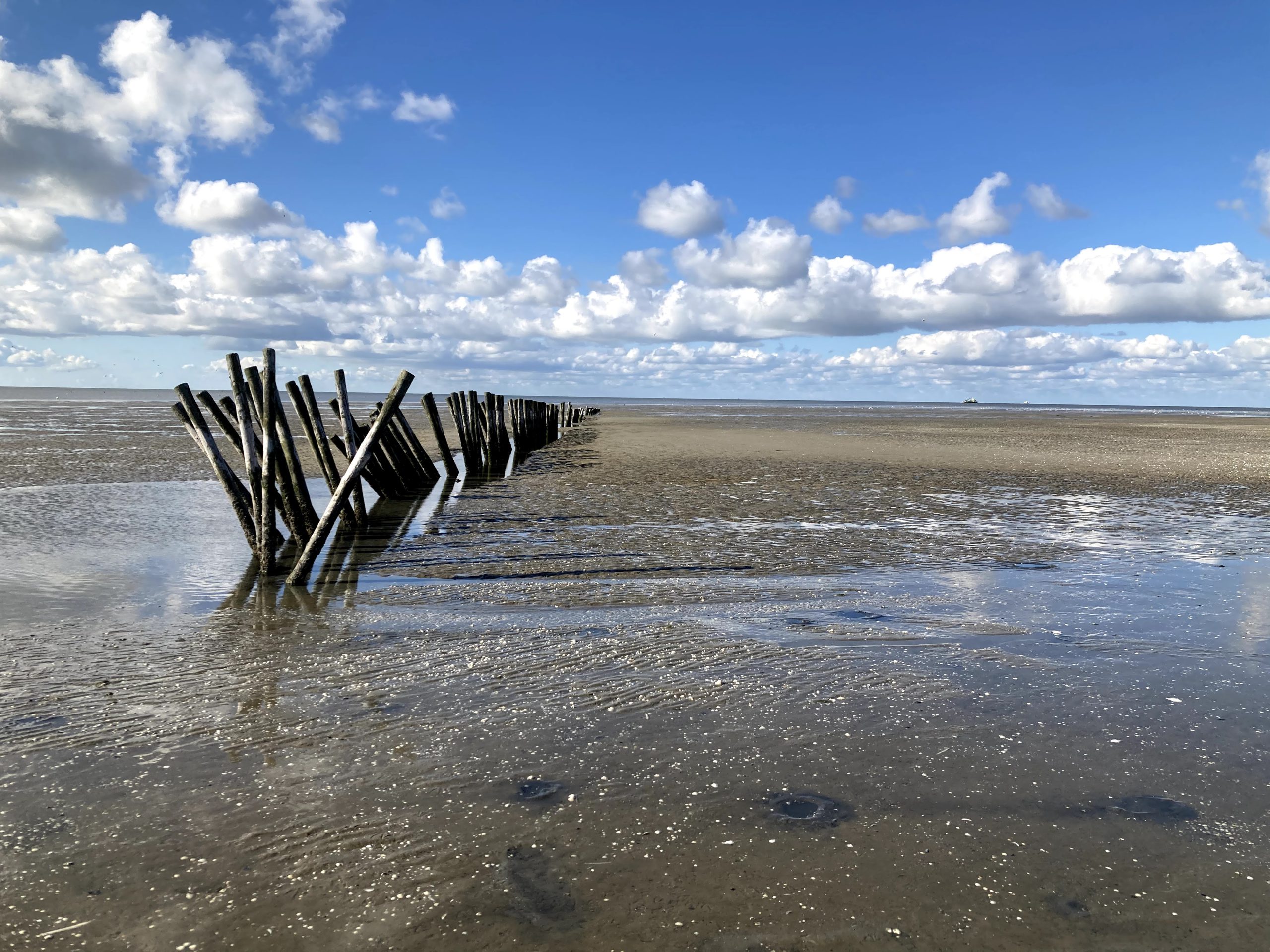 Wat Is Het Mooiste Woord Uit Waddengebied Groningen Of Friesland