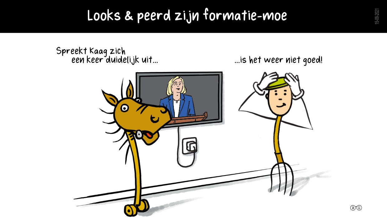 Looks en Peerd zijn teleurgesteld in het verloop van de kabinetsformatie..