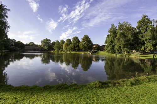 Vijvers Groningen ‘aan de zuurstof’ - waterkwaliteit moet omhoog