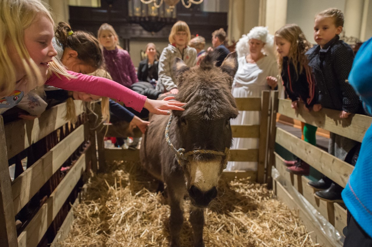 Nieuwe Kerk Groningen organiseert 'Kerst Walk Thru'