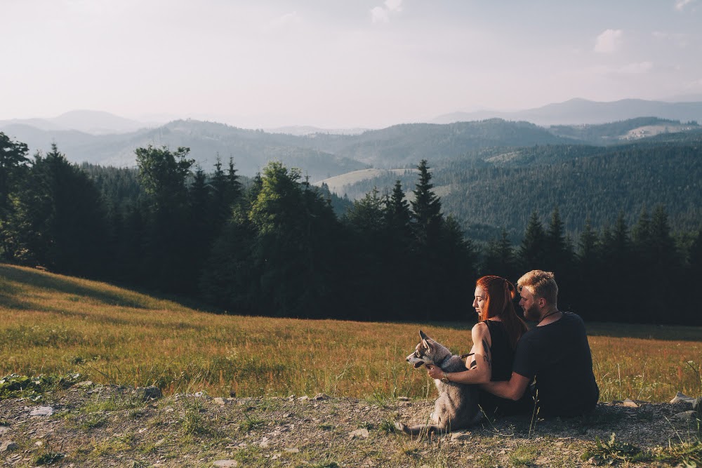 Vakantie vieren met uw trouwe viervoeter op een park van FranceComfort