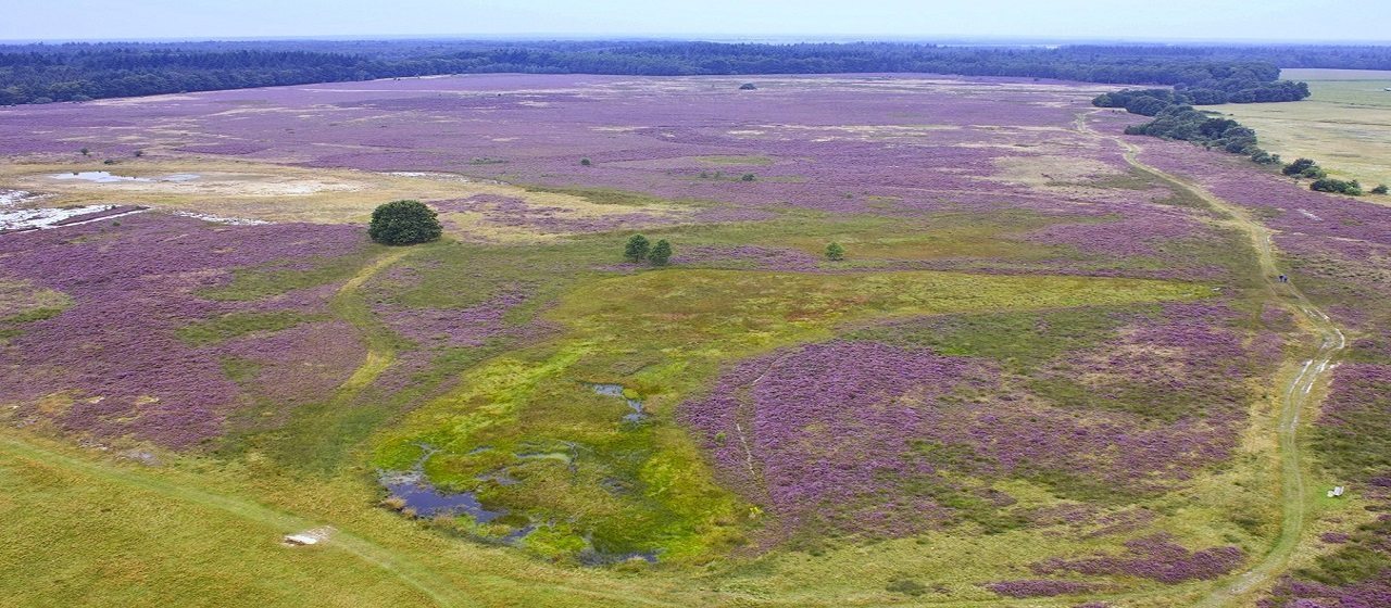 De Hondsrug blijft UNESCO Global Geopark