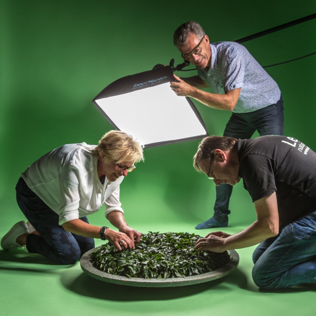 Bijzondere expositie in Vesta Woonforum Groningen