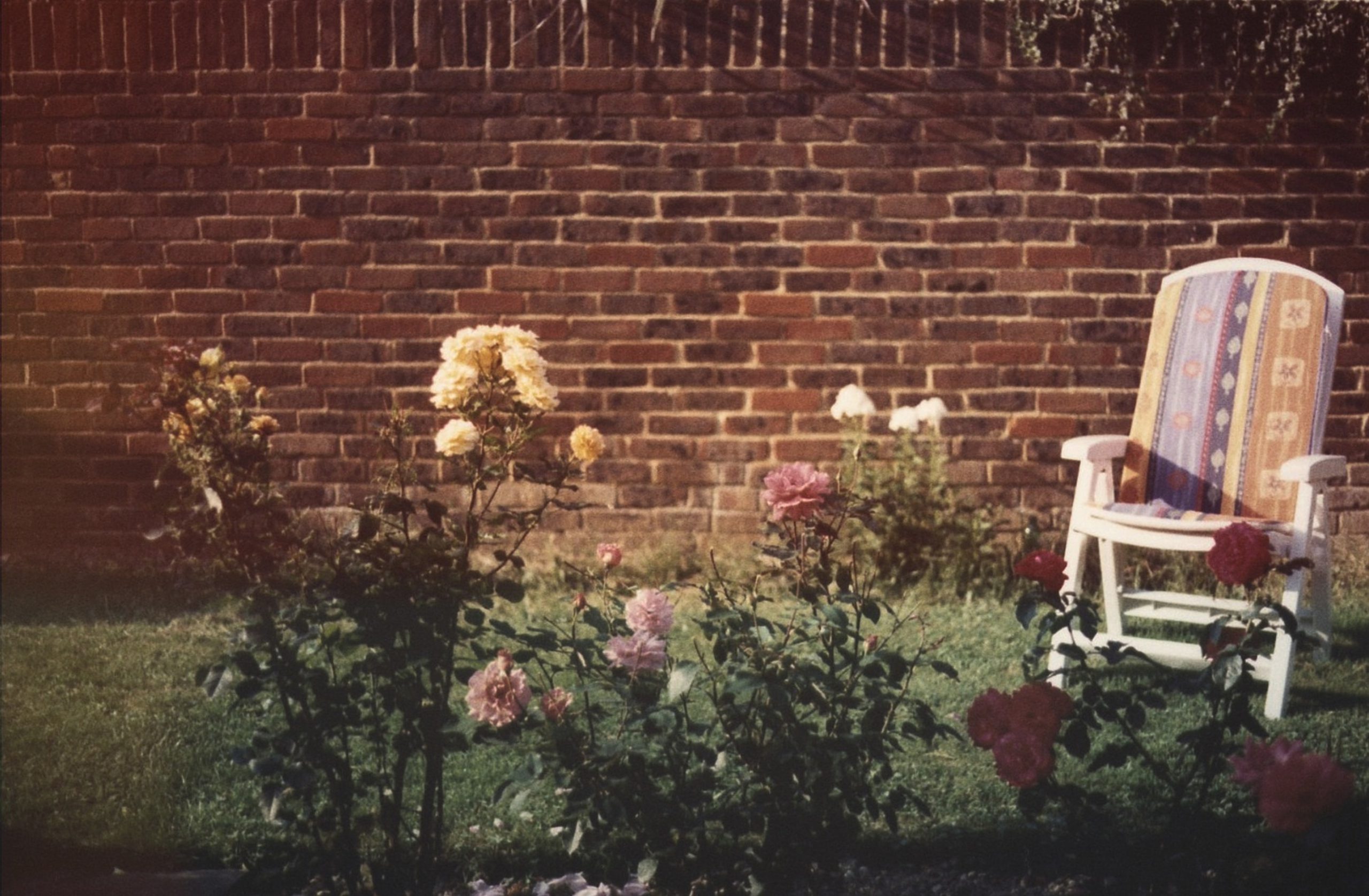 Wil je genieten van de zomer? Creëer een oase in de achtertuin