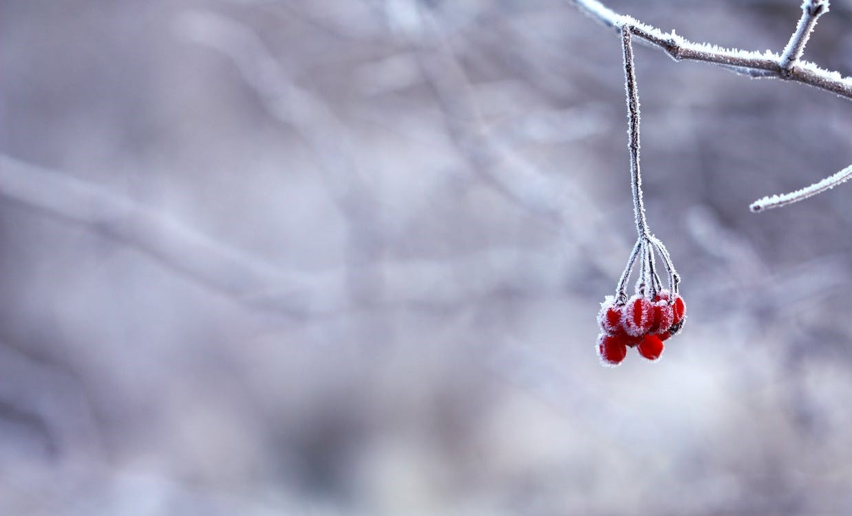 Tips om je voor te bereiden op de kostbare winter die eraan komt