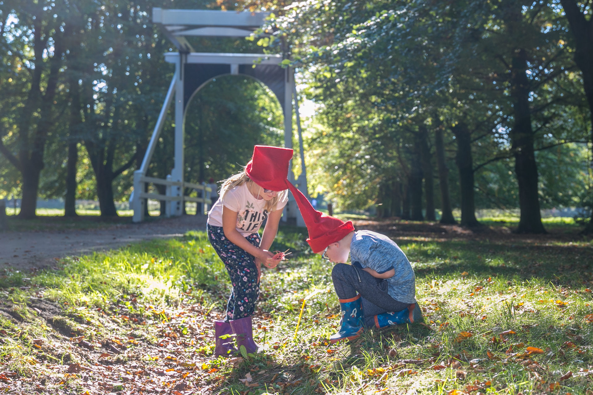 De natuur in met activiteiten van Het Groninger Landschap