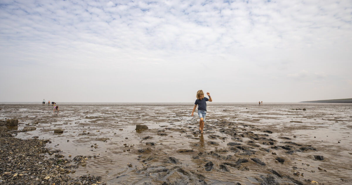 Nationaal Programma Groningen legt focus op vijf nieuwe programma’s