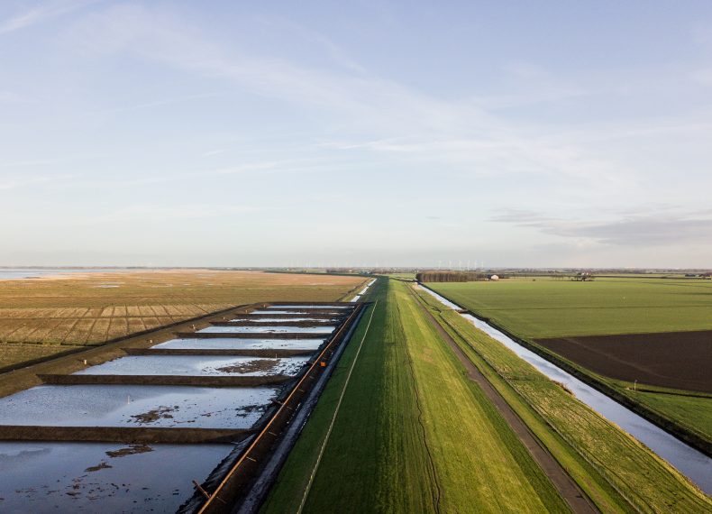 Prestigieuze Deltaprijs voor Brede Groene Dijk