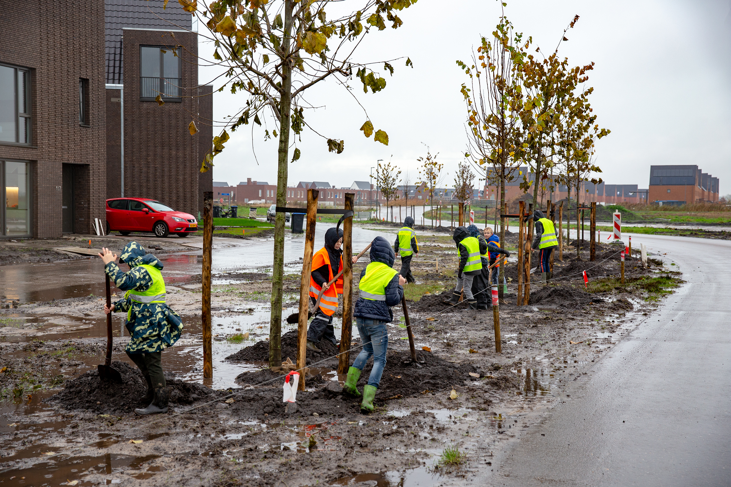 Meerstad krijgt er bomen bij dankzij scholieren en Boomfeestdag