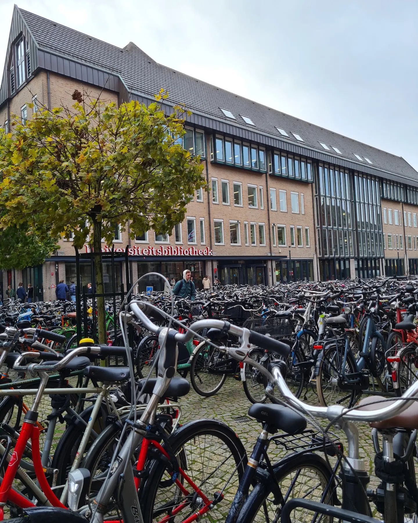 Met de fiets naar de binnenstad? Per 1 februari extra regels voor parkeren op straat