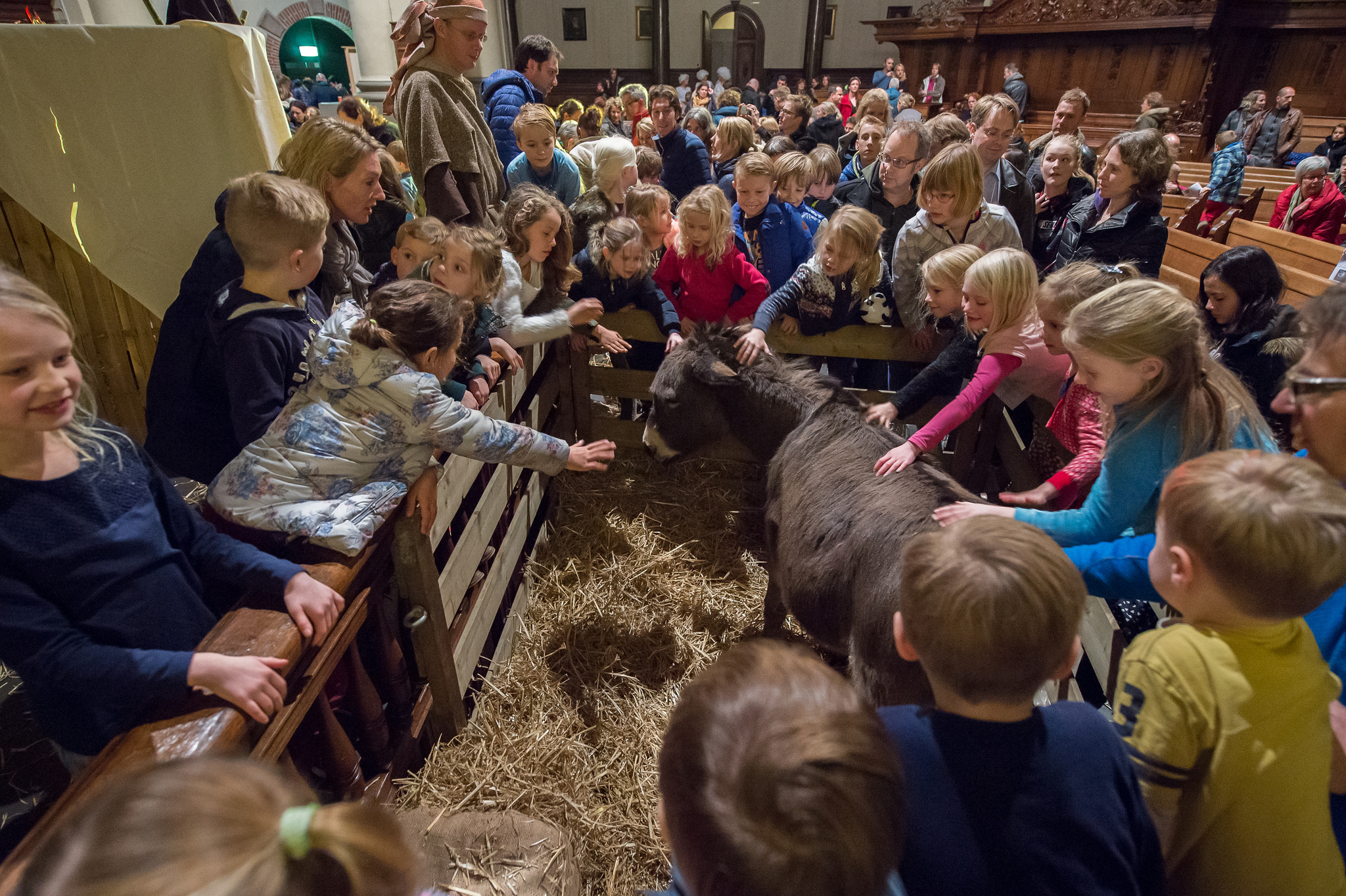 Kerstvoorstelling voor kinderen in de Nieuwe Kerk Groningen, met hoofdrol voor ezeltje Eppo