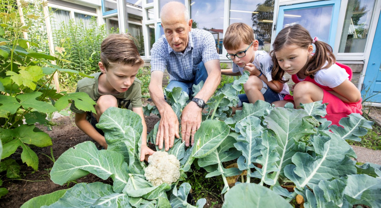 Gezocht: Groningers die 'moestuincoach' op basisschool willen worden