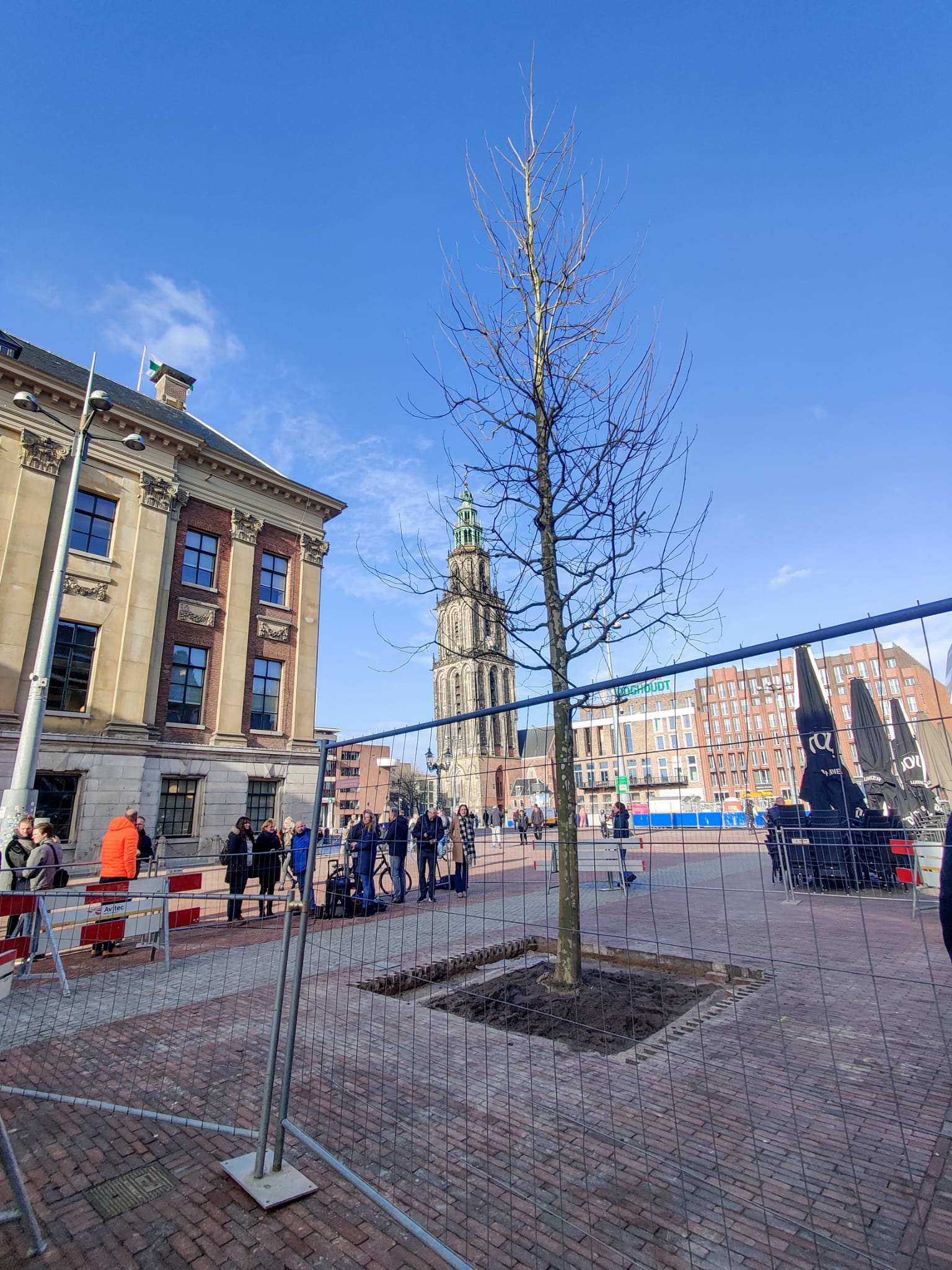 Eerste boom op de Grote Markt