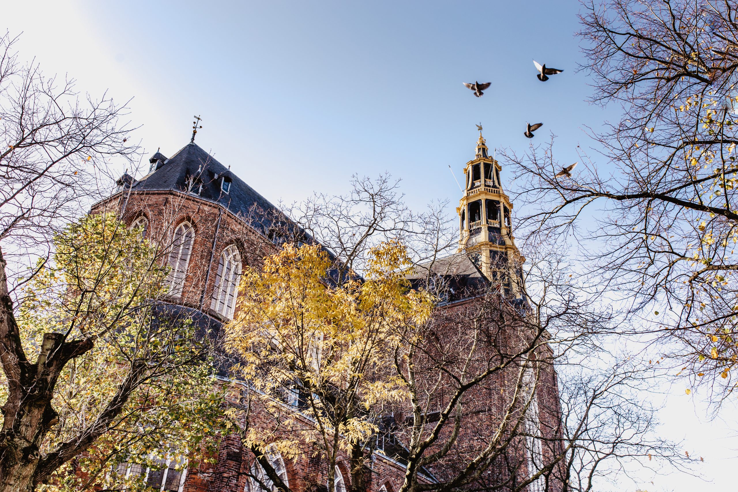 Foto | Stella Dekker | Marketing Groningen