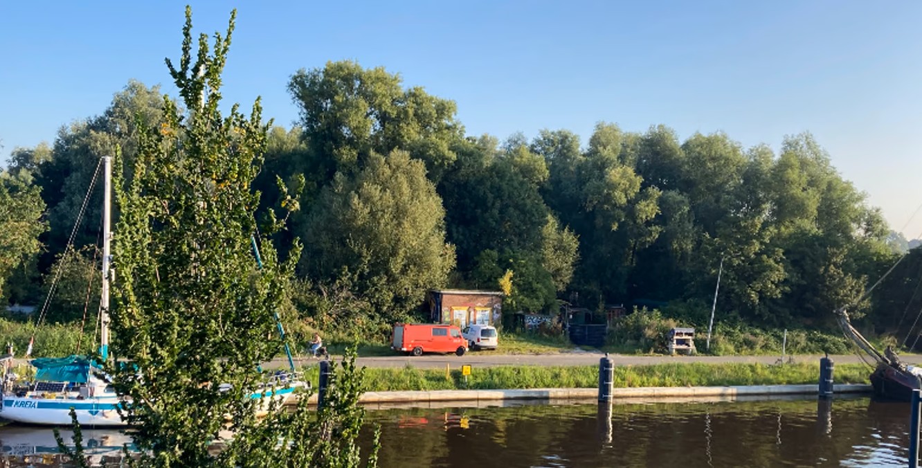 Foto | https://whydonate.com/nl/fundraising/doneer-voor-behoud-van-het-betonbos- 