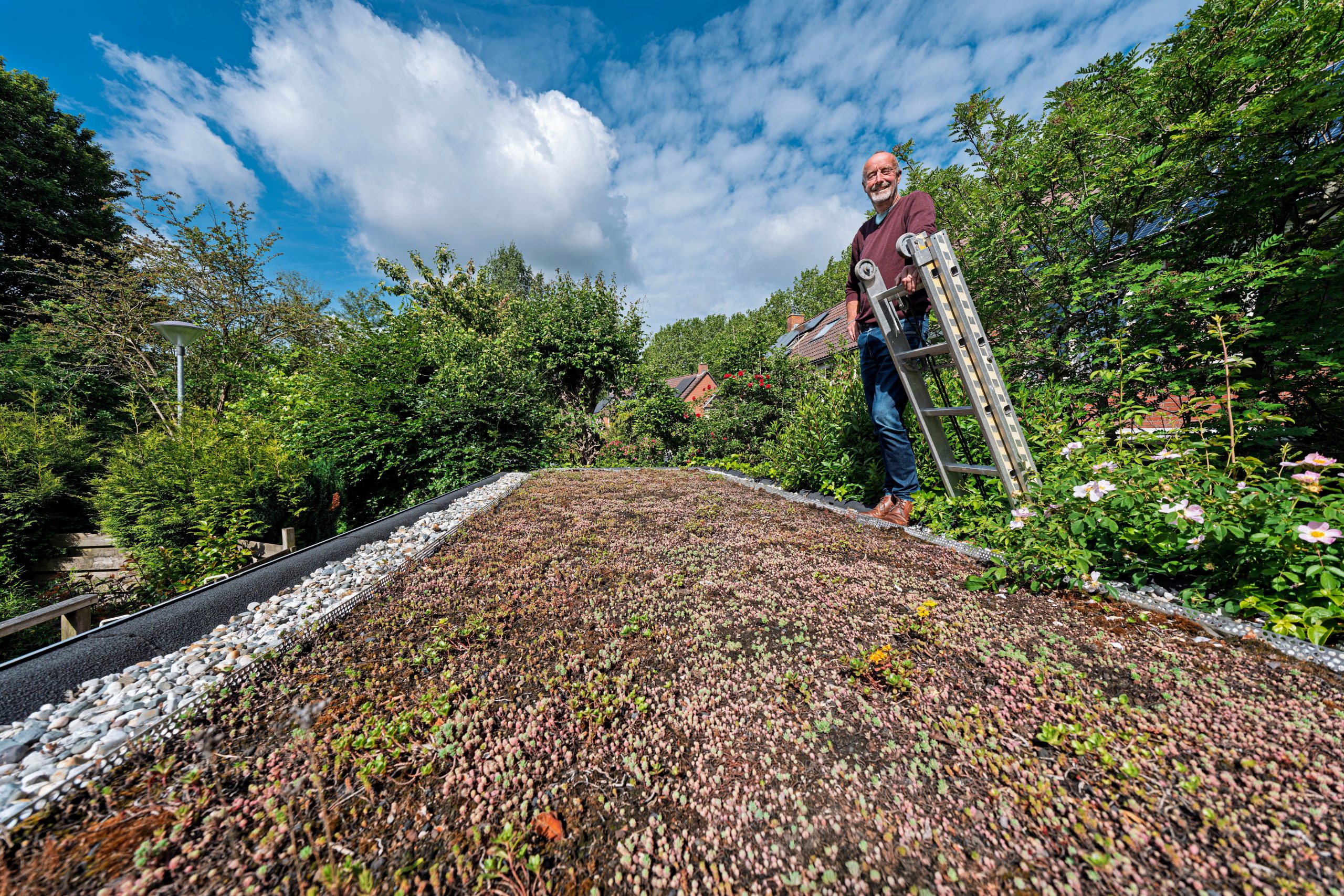Henk Bos uit Beijum vroeg subsidie aan voor zijn groene dak. Foto | Bert Lanting
