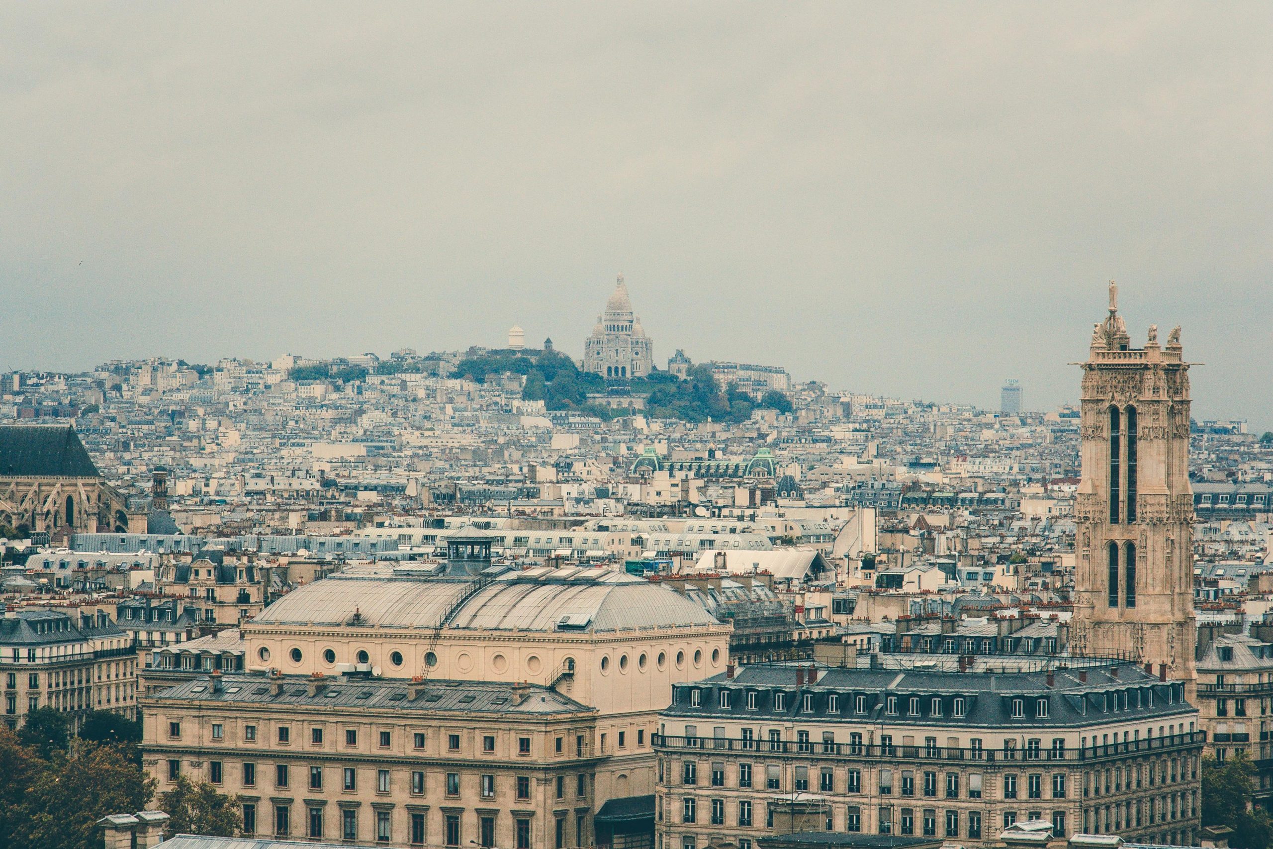 Foto | Margerretta via Pexels