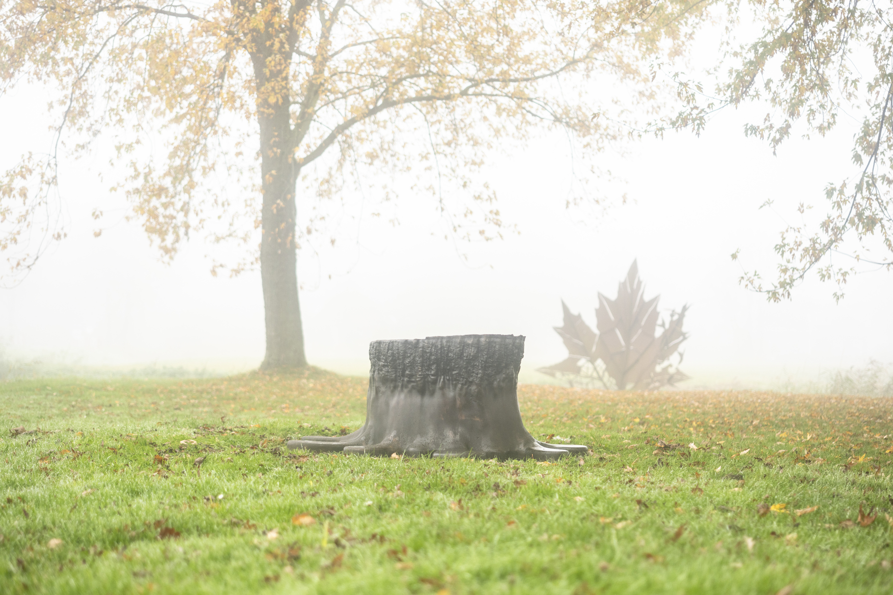 Foto | Sebastiaan Rodenhuis