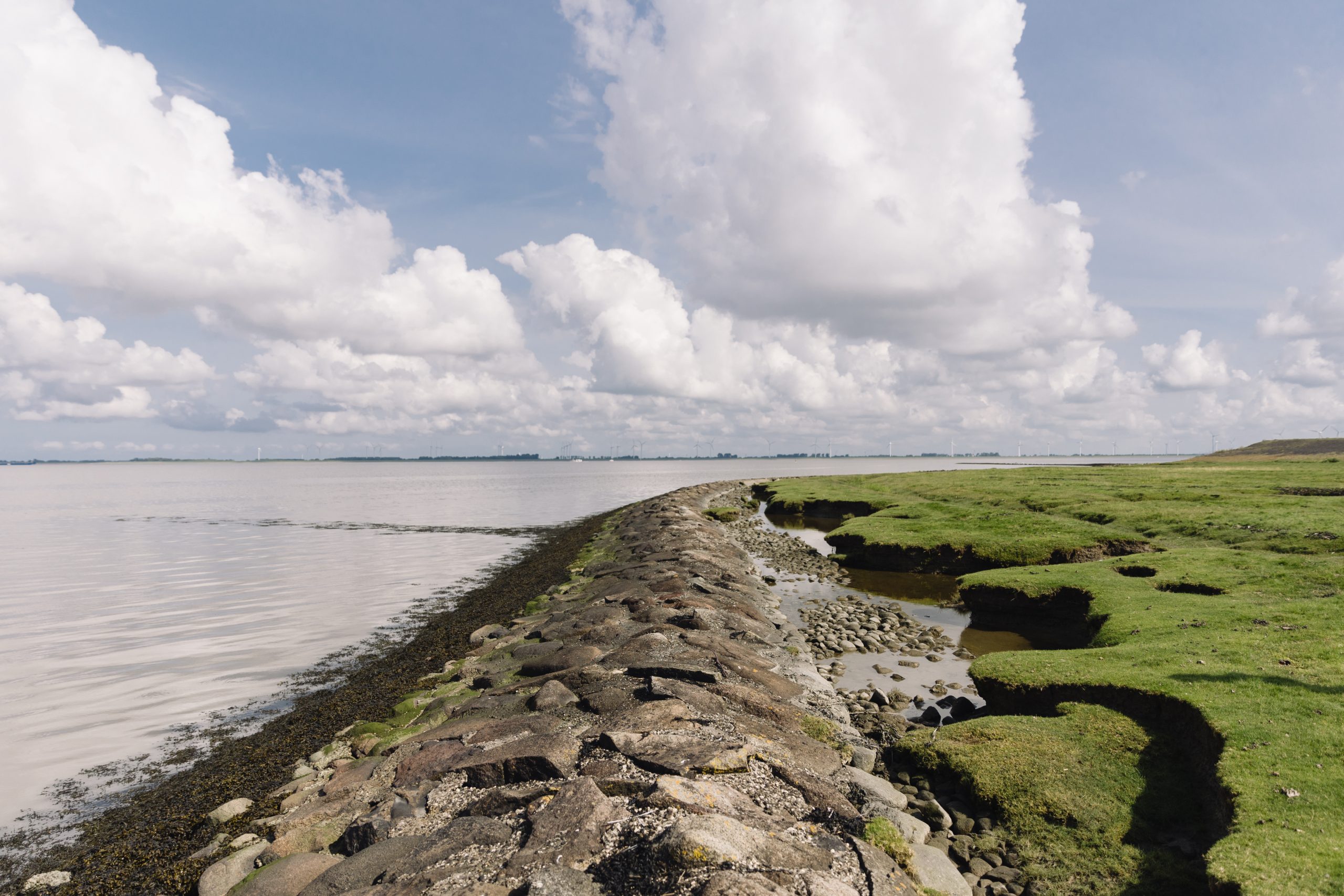 Foto | Marleen Annema