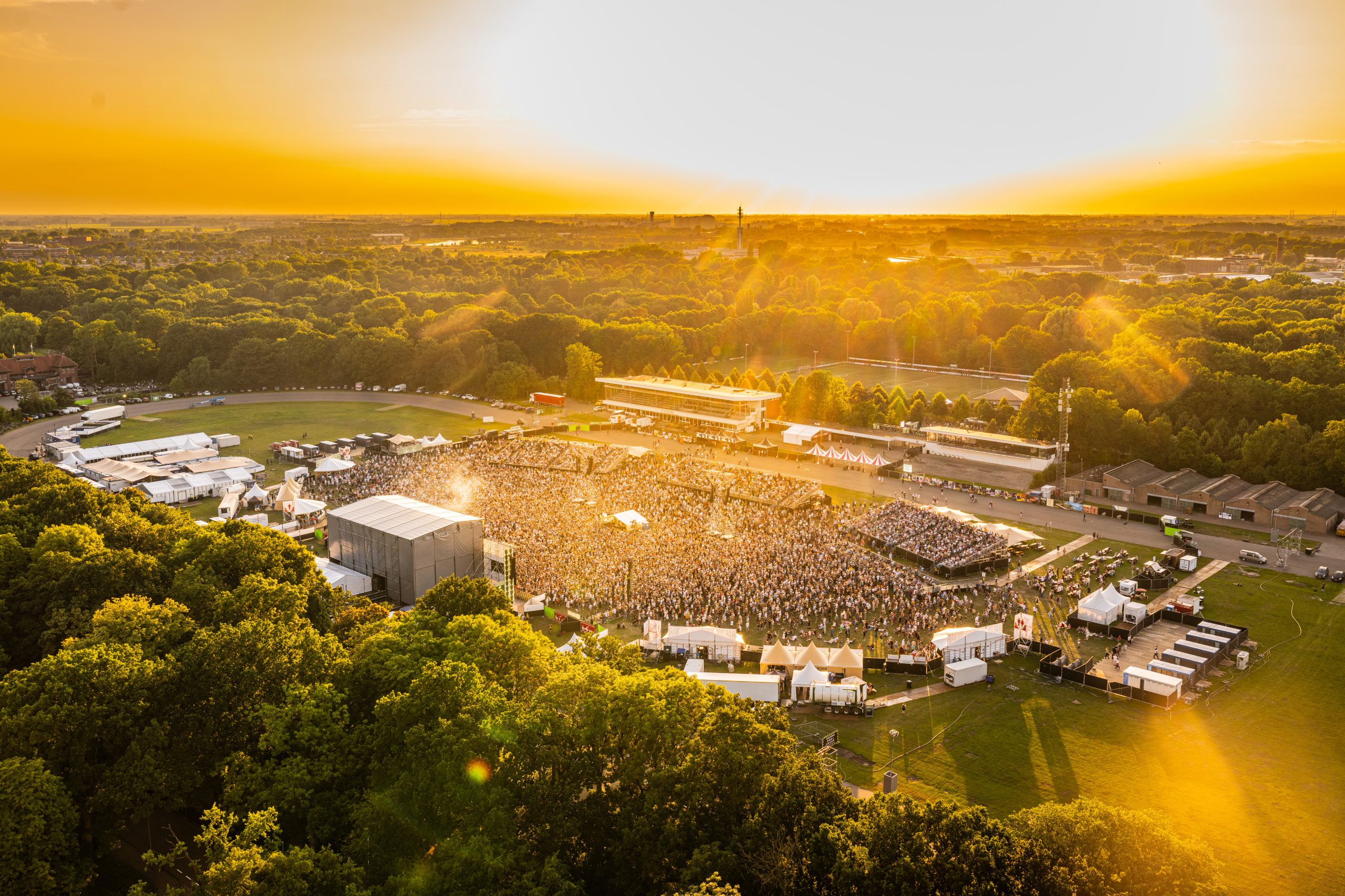 Summerstage 2025. Foto | Niels Knelis