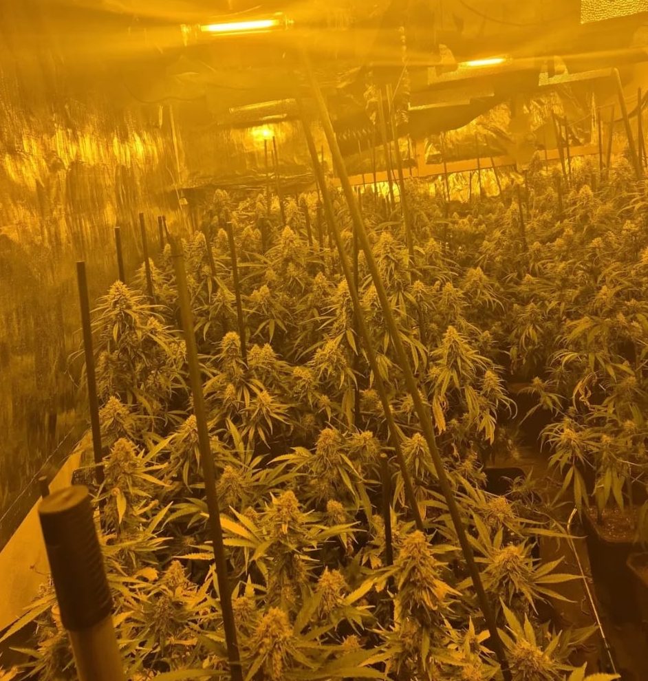 Foto | Politie Groningen-Zuid via Instagram