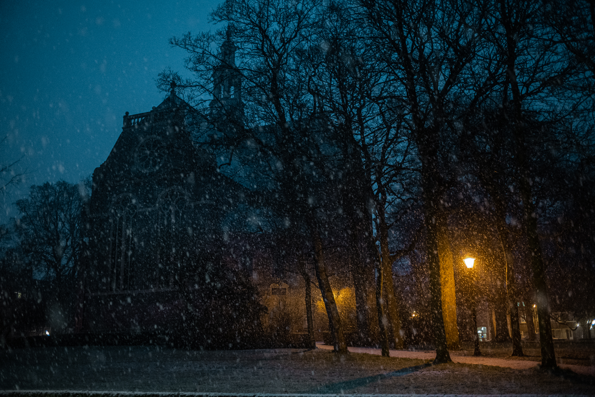 Nieuwe Kerk in de Hortusbuurt Foto | Johan Bosma