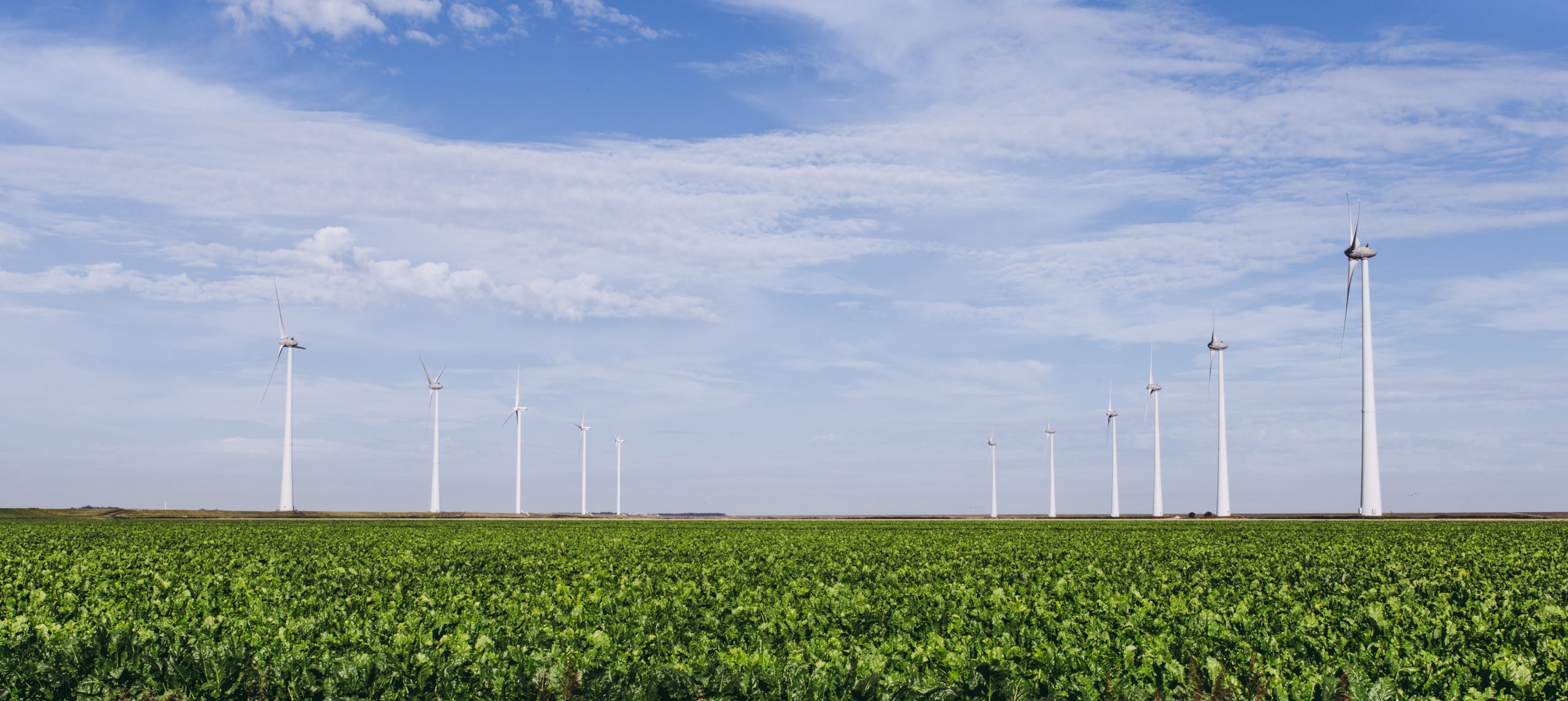 Foto | Stella Dekker 