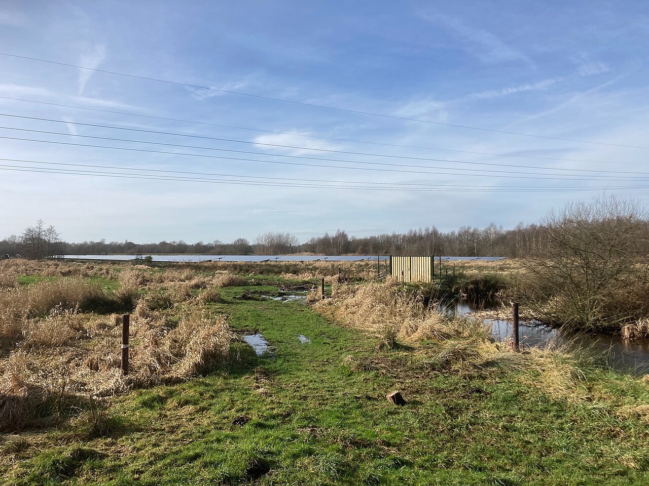 De Oosterpolder in Haren. Foto | Ahospers (Own Work) via Wikicommons https://creativecommons.org/publicdomain/zero/1.0/deed.en