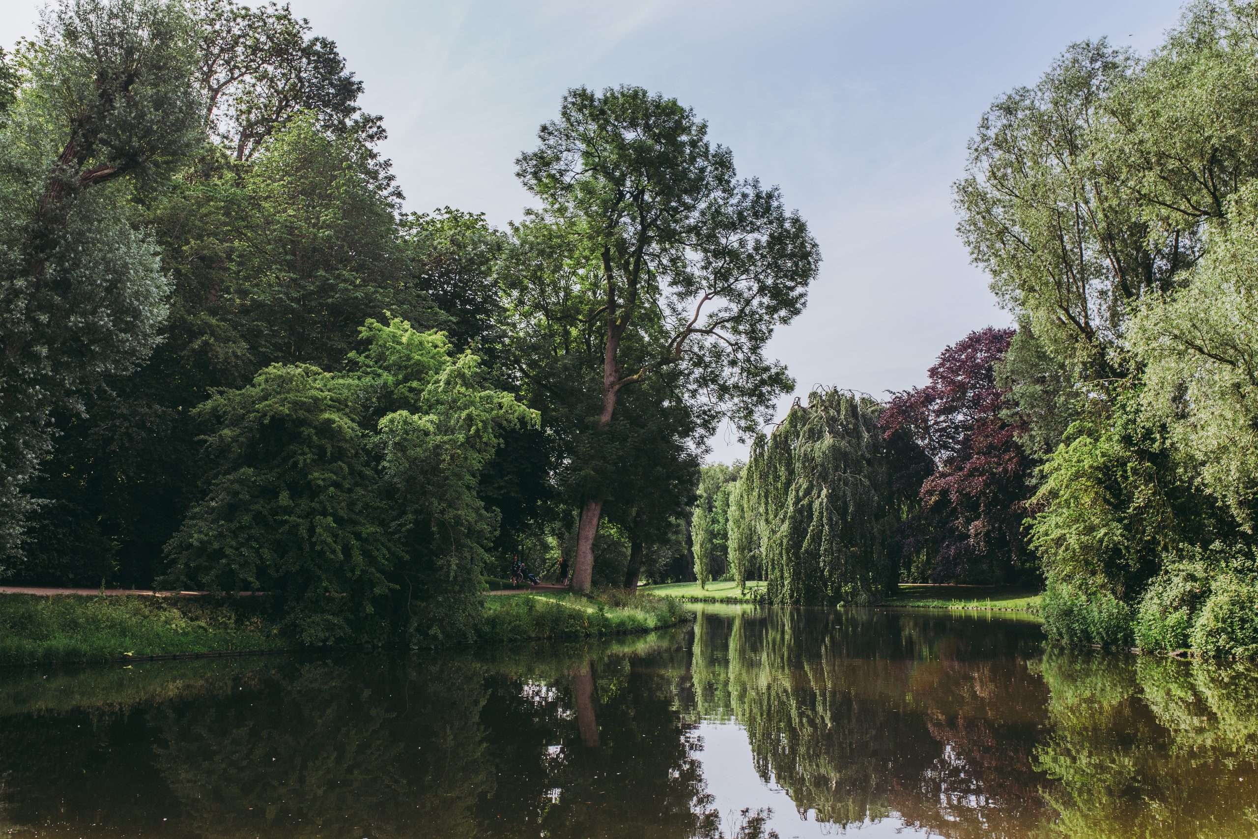 Noorderplantsoen Foto | Stella Dekker