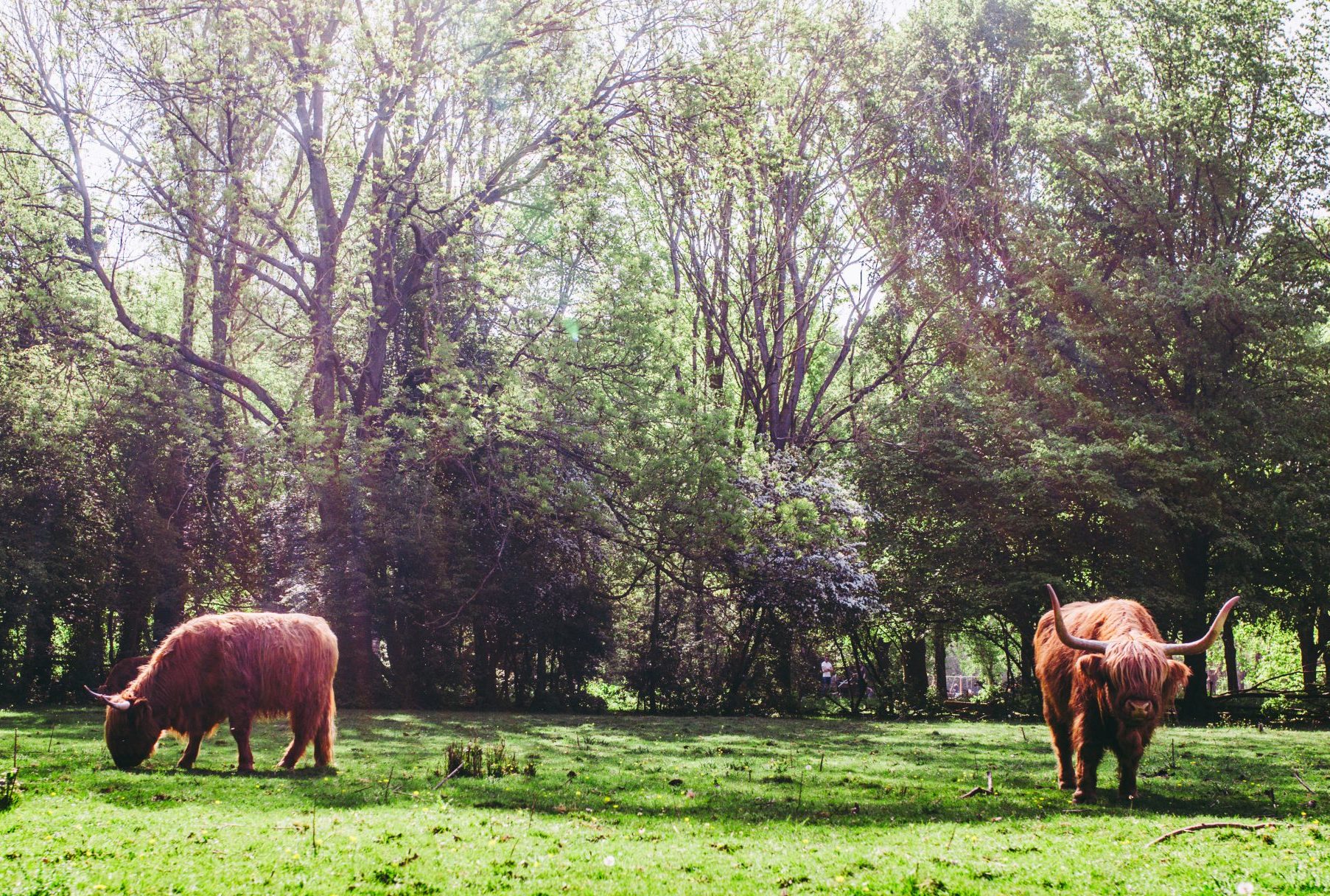 Foto | Stella Dekker