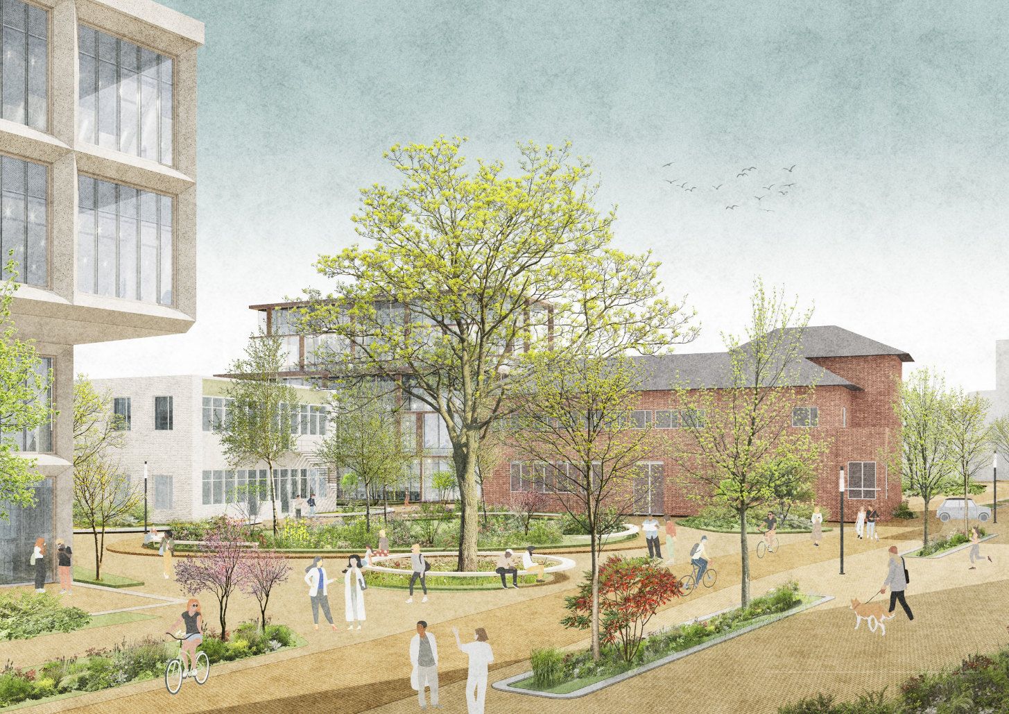 Impressie Healthy Ageing Campus van De Zwarte Hond.