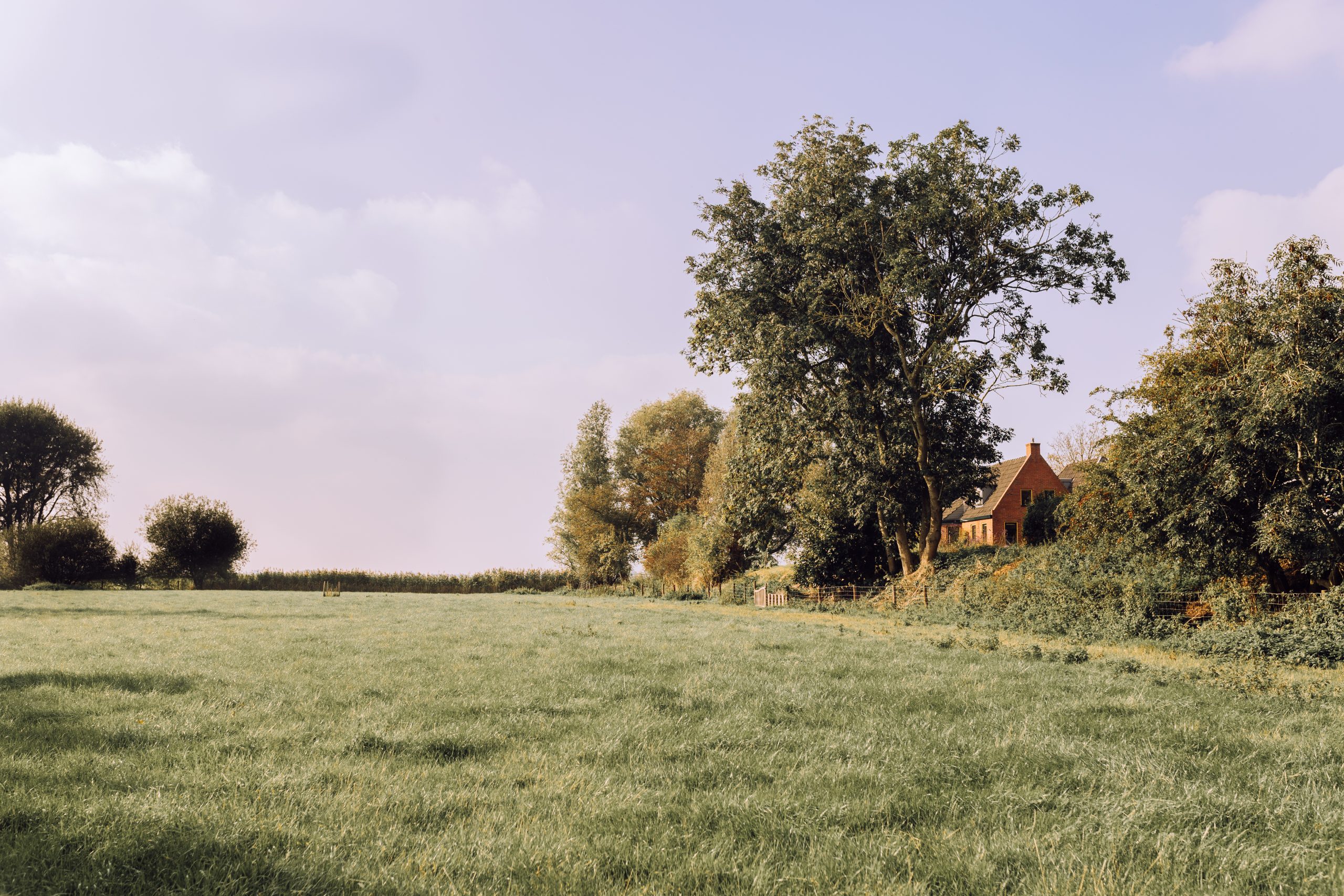 Foto | Stella Dekker