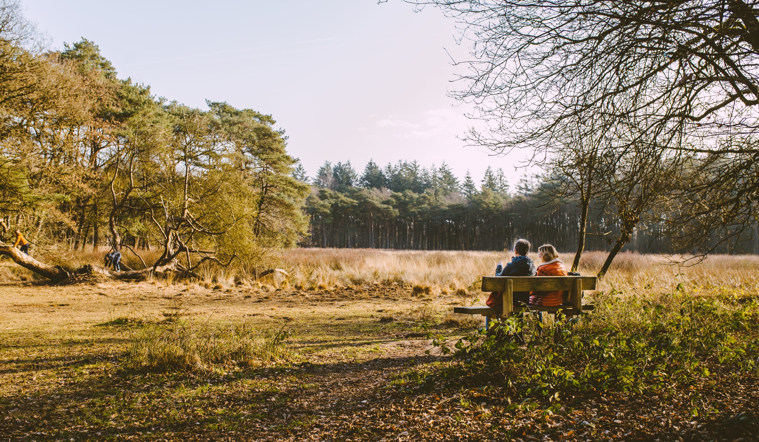 Appelbergen in Gorecht Foto | Stella Dekker