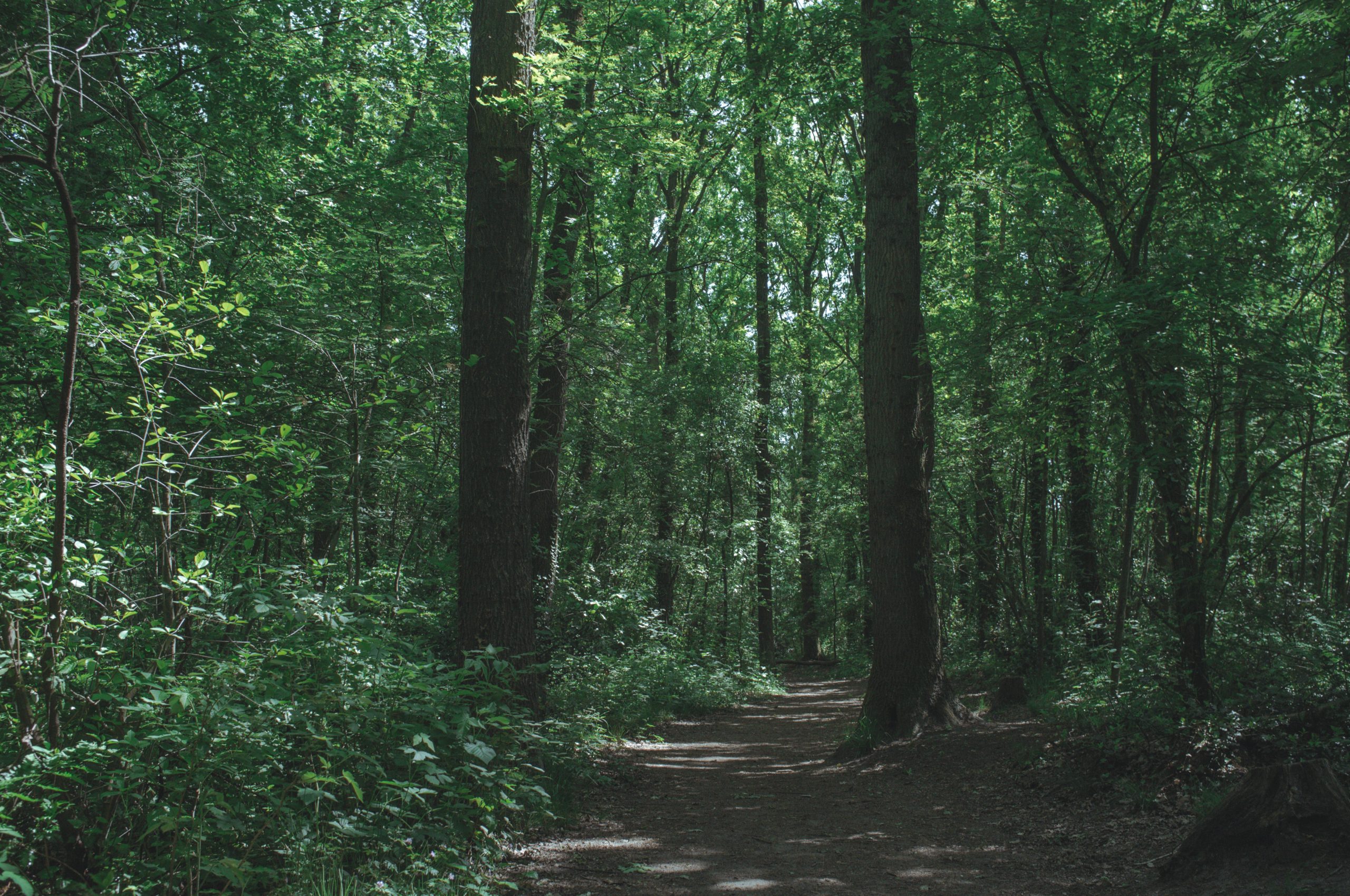 Foto ter illustratie. Foto | Marketing Groningen