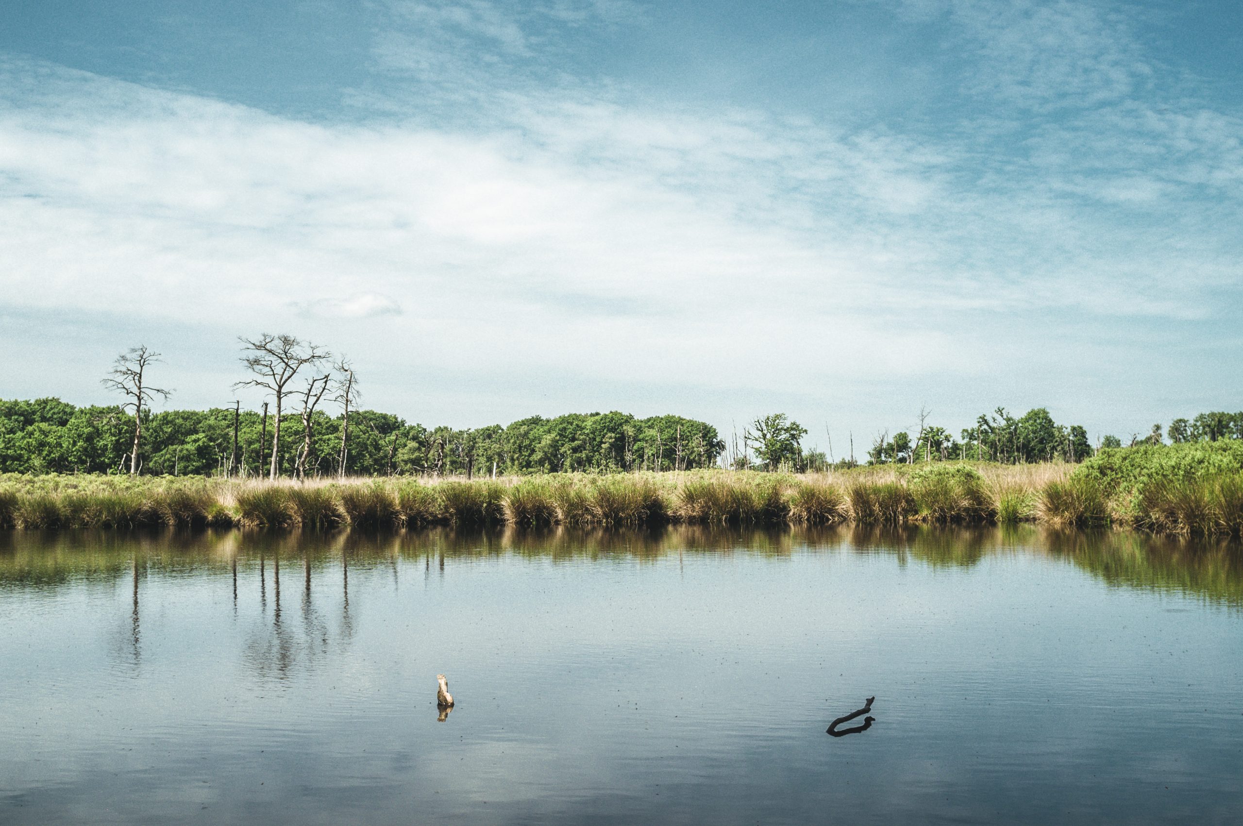 Foto | Marketing Groningen