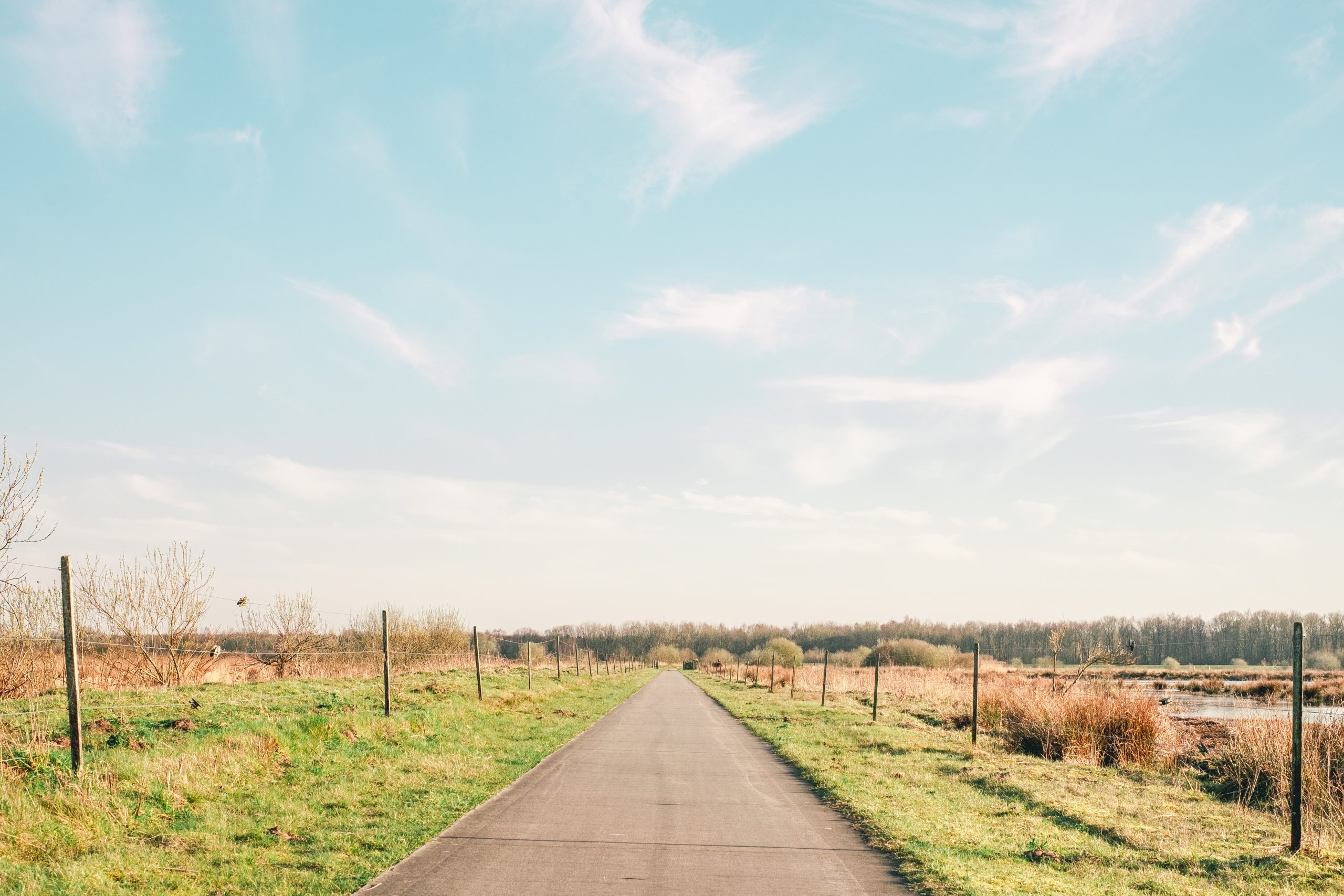 Kropswolderbuitenpolder . Foto | Sebastiaan Rodenhuis