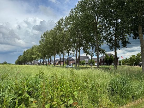 Foto | Gemeente Groningen